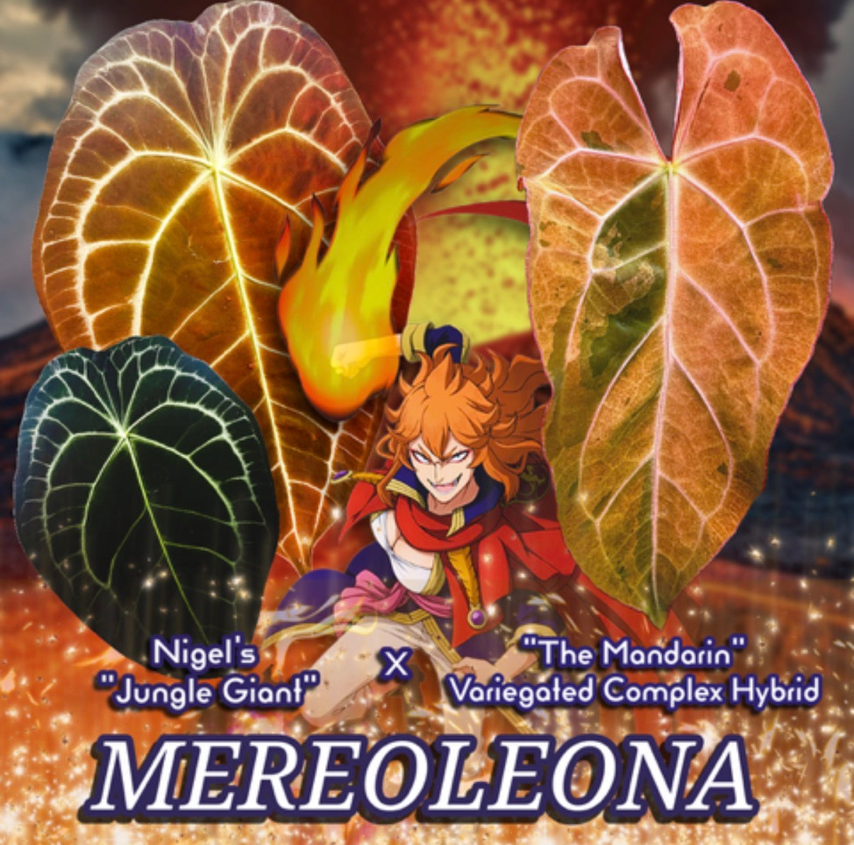 Mereoleona